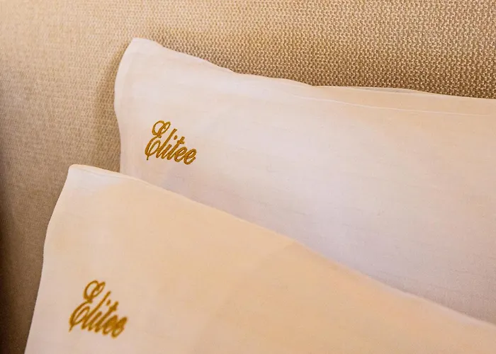 Elitee Superior Mountain *